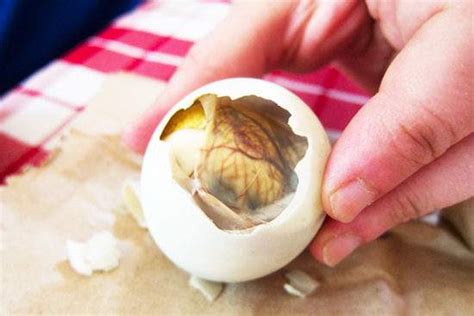 Balut (Duck Egg with Embryo) Health Benefits and .